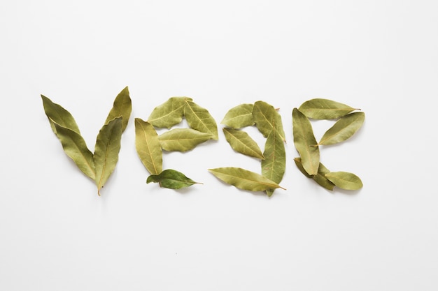 Free photo vege lettering made of bay laurel leaves