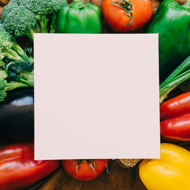 Vegetable composition with paper