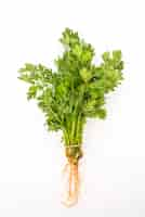 Free photo vegetable green bunch parsley background