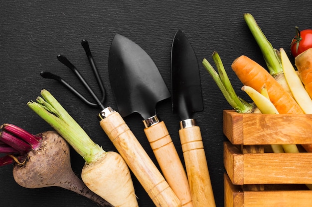 Vegetables arrangement on dark background