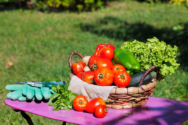 Verdure in un cesto sotto la luce solare