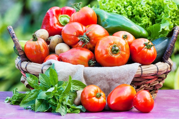 Vegetables in a basket on table under sunlight