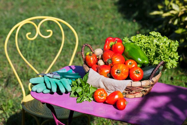 Овощи в саду под солнечным светом