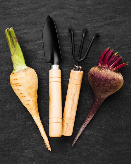 Vegetables and gardening arrangement on dark background