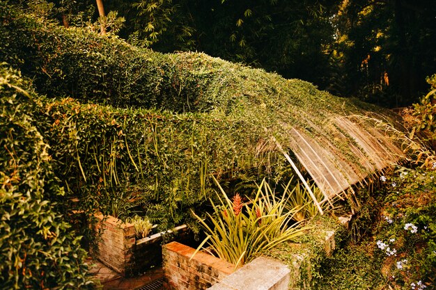 Vegetated building