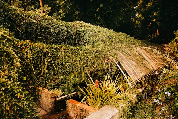 Vegetated building