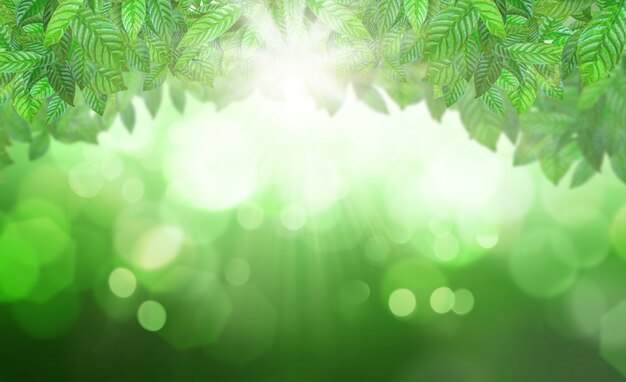 Vegetation background with sunshine