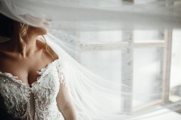 Foto gratuita il velo copre il viso della sposa mentre lei sta davanti alla finestra