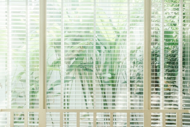 venetian sunlight interior white brown