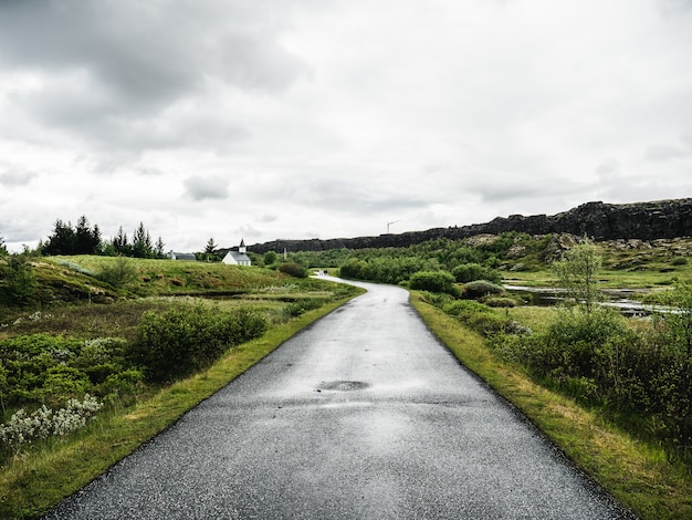 Strada verde verdeggiante in islanda