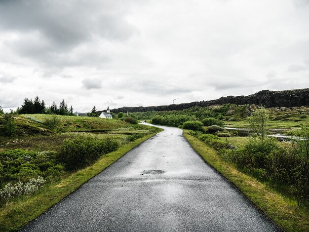 Зеленая зеленая дорога в Исландии