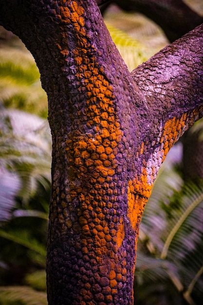 Foto gratuita colpo astratto verticale di un pezzo di legno con i colori arancio e porpora su fondo vago