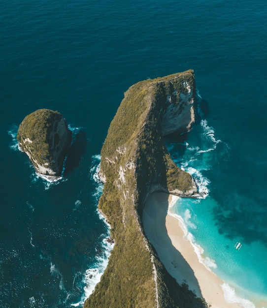 Foto gratuita ripresa aerea verticale di una scogliera con piante in acqua