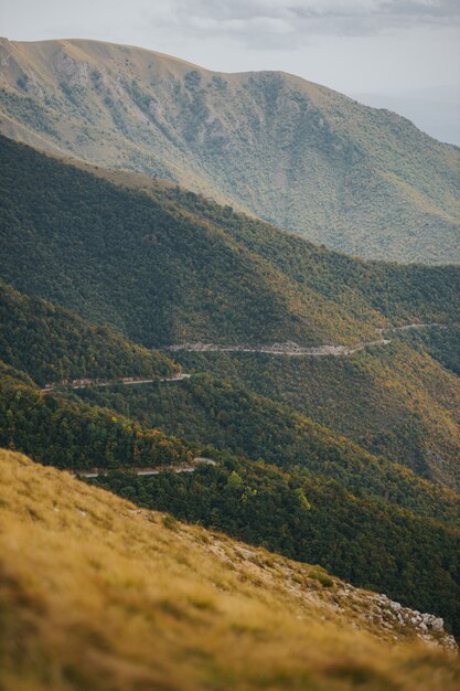 Vertical aerial shot of a dangerous mountain road through a forest of Vlasic, Bosnia