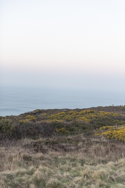 Vertical of beautiful naturistic scenery at the ocean shore during evening time