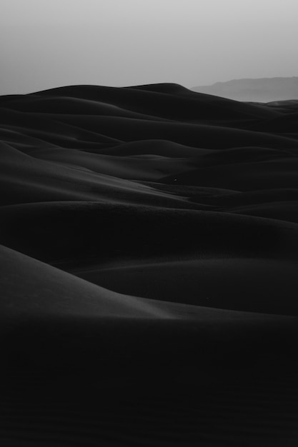 Foto gratuita colpo in bianco e nero verticale del deserto di erg