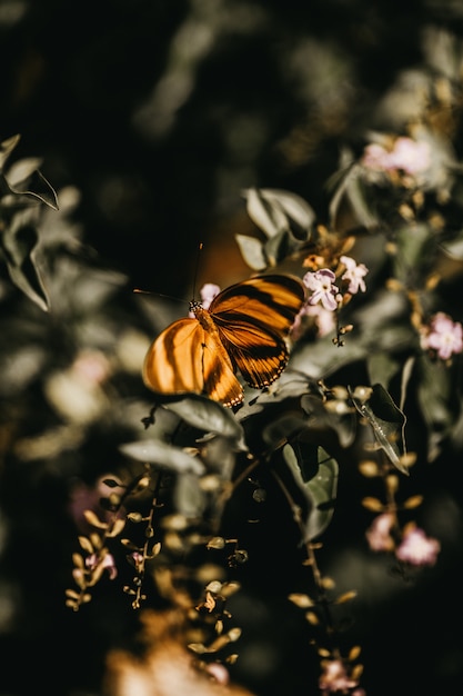 무료 사진 핑크 꽃과 녹색 식물에 검은 줄무늬 나비의 세로 근접 촬영