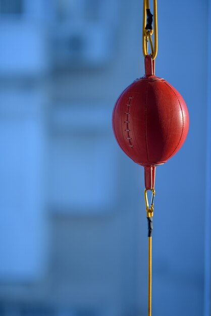 Vertical closeup of a red speedball under the sunlight with a blurry background