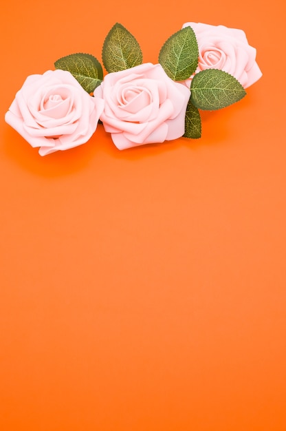 コピースペースとオレンジ色の背景に分離されたピンクのバラの垂直クローズアップショット