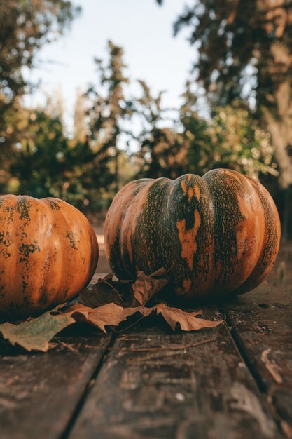 Vertical closeup shot of pumpkins and autumn leaves on a table in the forest