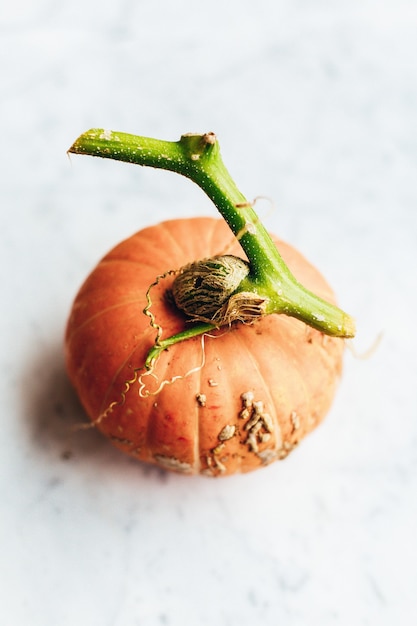 Vertical closeup shot of a small pumpkin on a marble white background