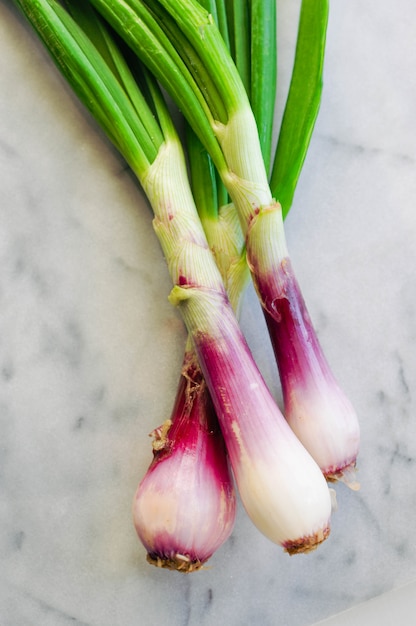 Free photo vertical closeup shot of spring onions