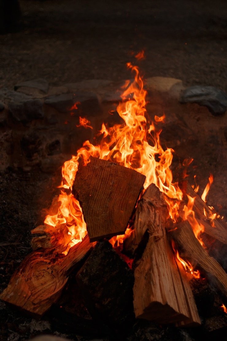 Free Photo vertical closeup view of a bonfire with a beautiful orange flame