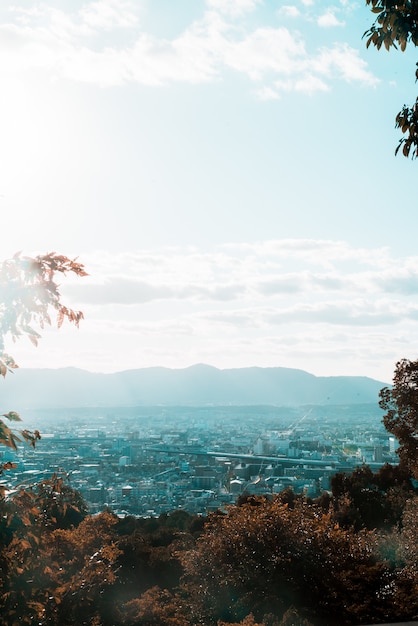 Vertical distant shot of a city view surrounded by trees under a clear sky