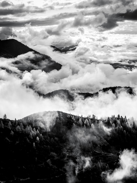 Grober Priel의 구름 위의 숲이 우거진 산의 수직 회색조 샷