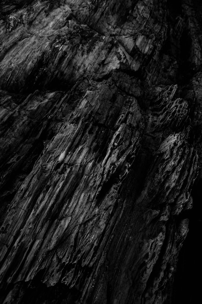 Vertical grey scale shot of the patterns on the rocky cliffs