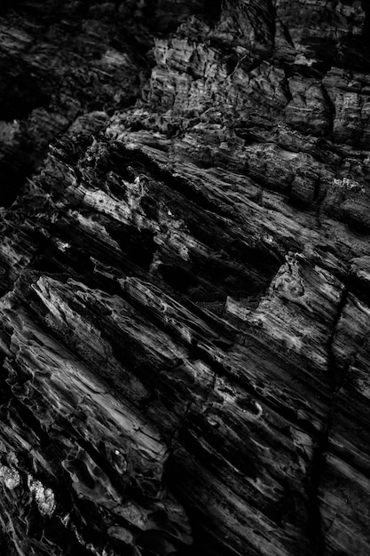 Vertical grey scale shot of the patterns on the rocky cliffs