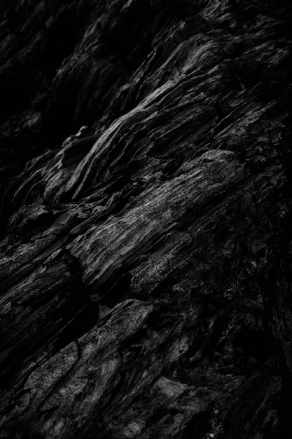 Vertical grey scale shot of the patterns of the rocky cliffs