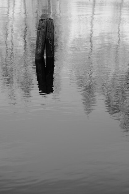 Vertical grey scale shot of the reflection of two logs of wood in the lake