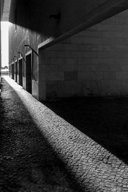 Vertical grey scale shot of the sun shining on the sidewalk through the buildings