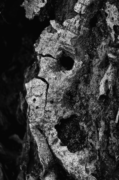 Vertical greyscale of rock formations under the sunlight - perfect for backgrounds