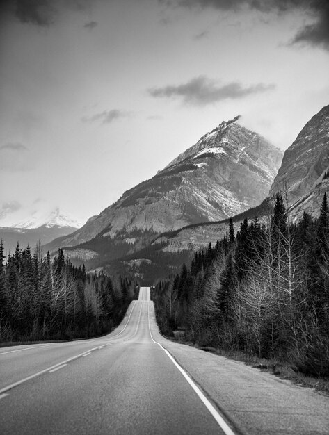 Vertical greyscale shot of a highway in the center of a forest and high mountains in the