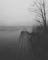 Бесплатное фото Вертикальный снимок в оттенках серого деревянного дока у озера, окруженного кустами