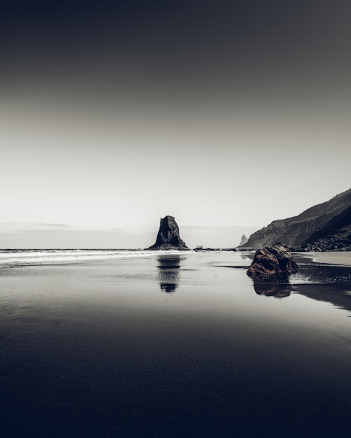 Вертикальный снимок скал на берегу моря в оттенках серого