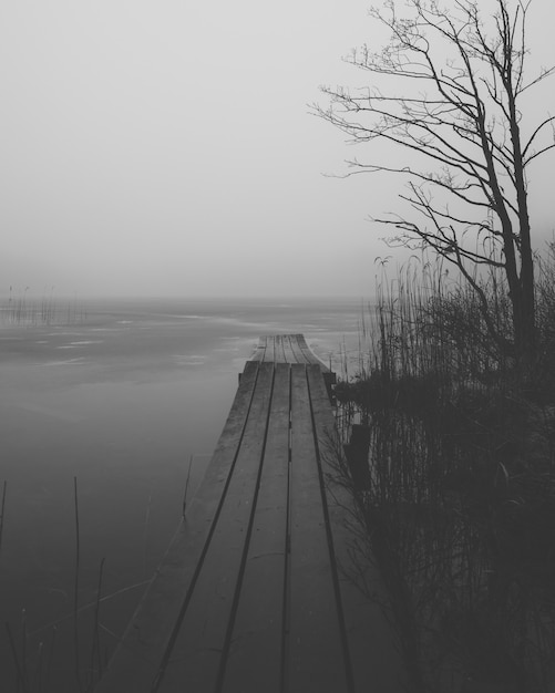 Foto gratuita scatto verticale in scala di grigi di un bacino di legno vicino a un lago circondato da cespugli