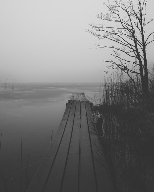 Vertical greyscale shot of a wooden dock near a lake surrounded by bushes