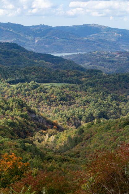 イストリア半島、クロアチアの美しい風景の垂直ハイアングルショット