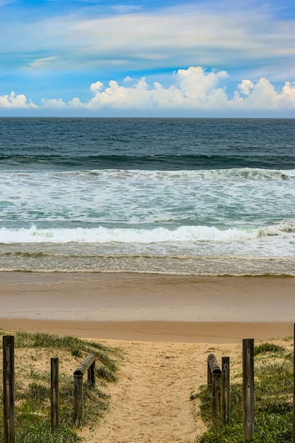 Free photo vertical high angle shot of a road with wooden railings leading to the sea