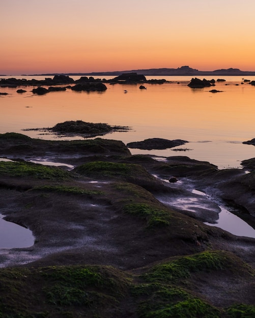 Free photo vertical high angle shot of the rocks covered with moss on the shore during the golden hour