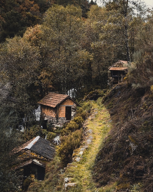 Vertical image of traditional houses in a village a the side of a mountain surrounded by trees
