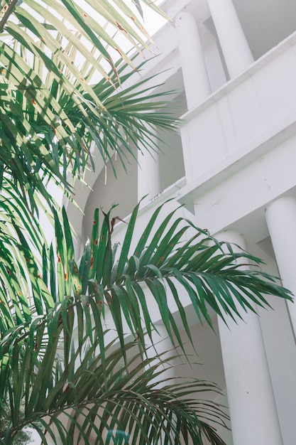 白い建築と緑豊かな大規模な植物の垂直インテリアショット
