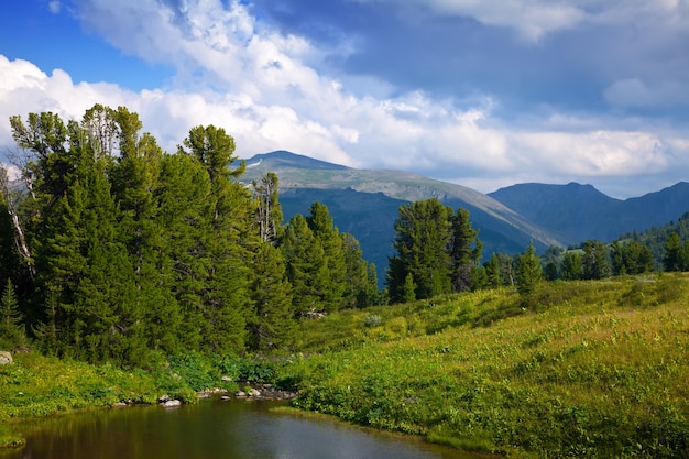 vertical landscape with mountains lake