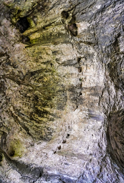 자연 동굴 내부에 이끼로 덮인 아름다운 돌담의 수직 낮은 각도 샷