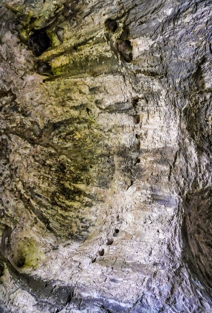 자연 동굴 내부에 이끼로 덮인 아름다운 돌담의 수직 낮은 각도 샷