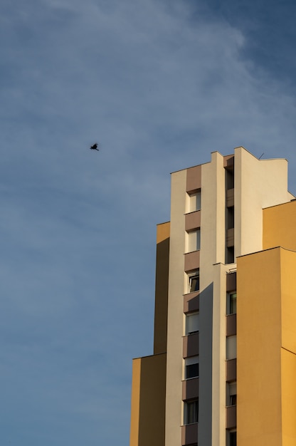 コンクリートのモダンな建物の上を飛んでいる鳥の垂直ローアングルショット