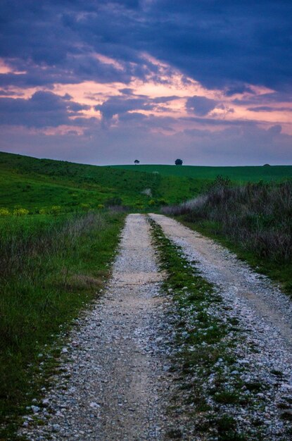 Vertical low angle shot of a breathtaking sunset over a road in the middle of a green scenery